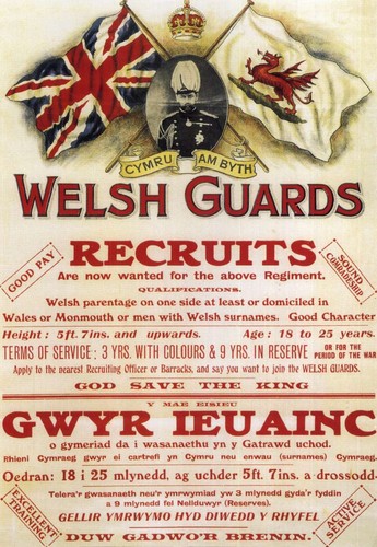 Large welsh guards - large,