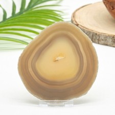 Natural Agate Slice With Stand