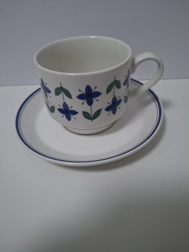 Vintage midwinter roselle - 1x,