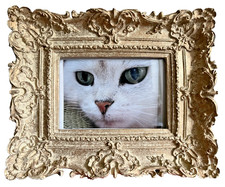 Ornate French Rococo Swept Frame Cream & Antique Gold 24 X 20cm Rebate 13.5 X 9