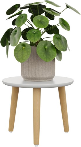 Bamworld plant stand indoor - bamworld,