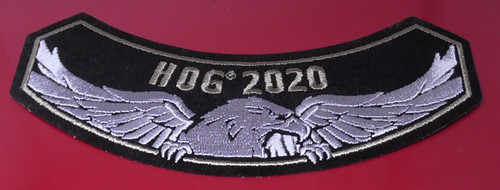 Harley davidson hog - hog,