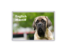 English Mastiff - Dog Large Fridge Magnet - Pet Animal Lover Novelty Gift