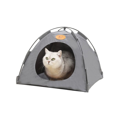 Pet tent cat puppy play - cat,