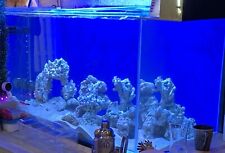 4ft Clear seal 450litres reef tank With White Stand