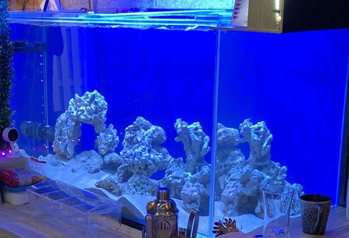 4ft clear seal - clear,