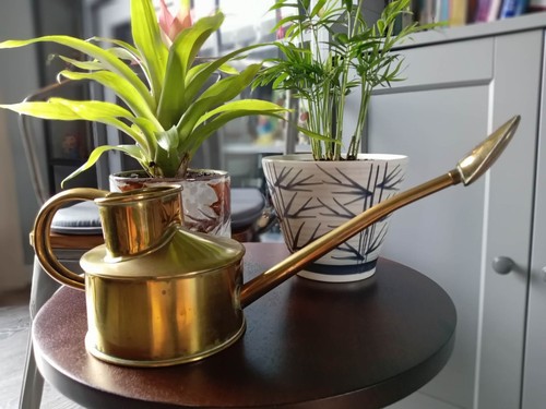 Vintage haws elliot copper - haws,