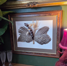 Ethical Taxidermy Large pair