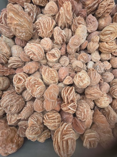 Bulk desert rose crystal - bulk,