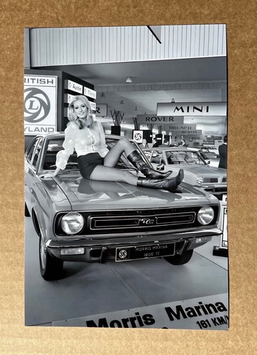 Morris marina 1800 press - morris,
