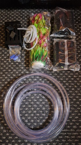 Aquarium fish tank - fish,