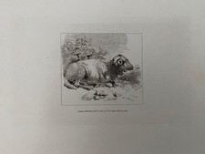 GEORGIAN ETCHING FROM OLD