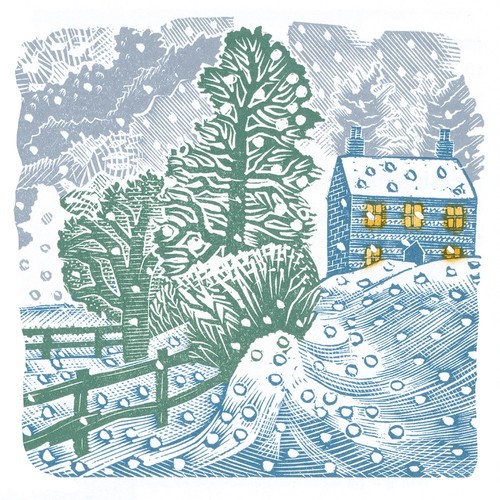 Winter snow by - winter,