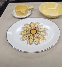 Vintage Mid Century Midwinter