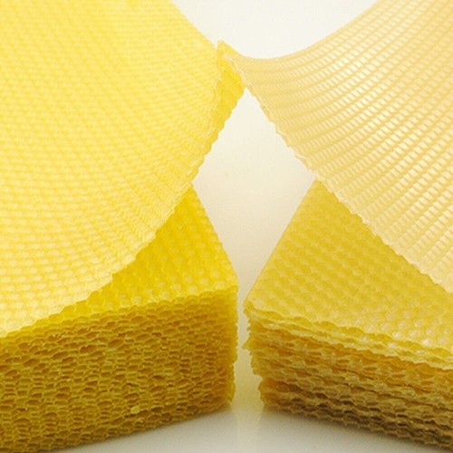 Honeycomb foundation beehive - foundation,