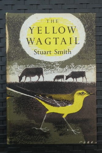 Yellow wagtail stuart smith - yellow,