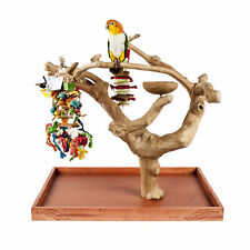 Java Tree Hardwood Mini Tree