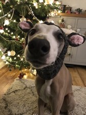 Handmade Medium Sized Reindeer