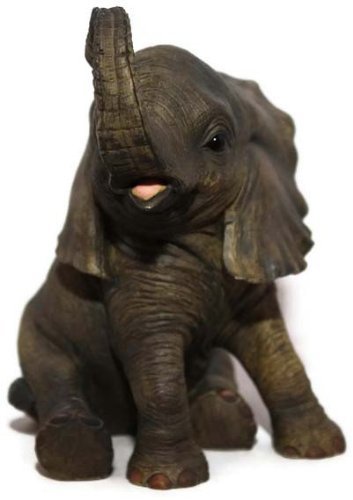 African small sitting - african, baby