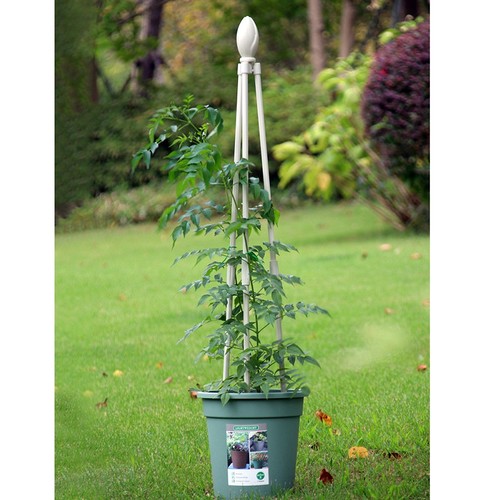 Metal garden trellis - metal, trellis,garden