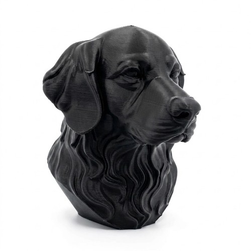 Golden retriever dog - retriever,