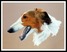 BORZOI HEAD STUDY DOG ART