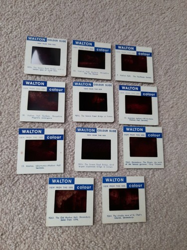 35mm professional slides - 35mm, of