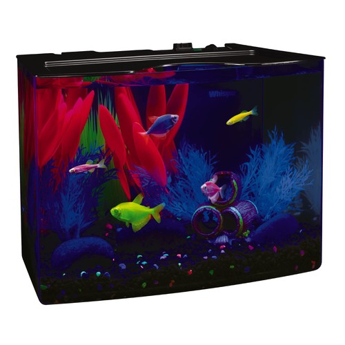 Glofish gallon aquarium - glofish, kit