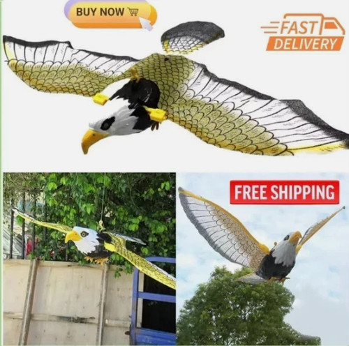 Flying bird hawk scarer - bird,