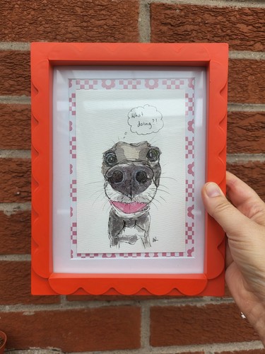 Original greyhound whippet fun