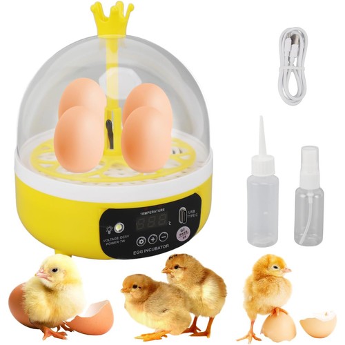 Auto eggs mini - auto,