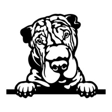 Shar Pei Dog Puppy Peeking