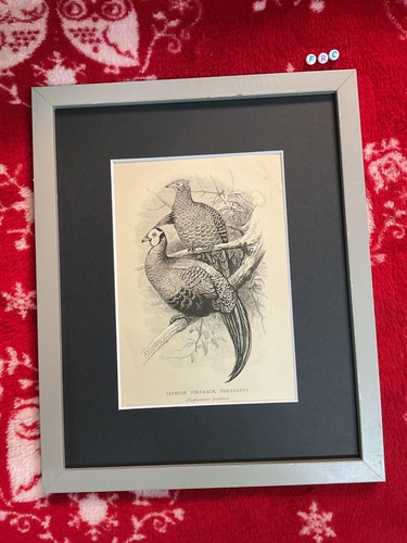 Rare antique 1800s - rare,