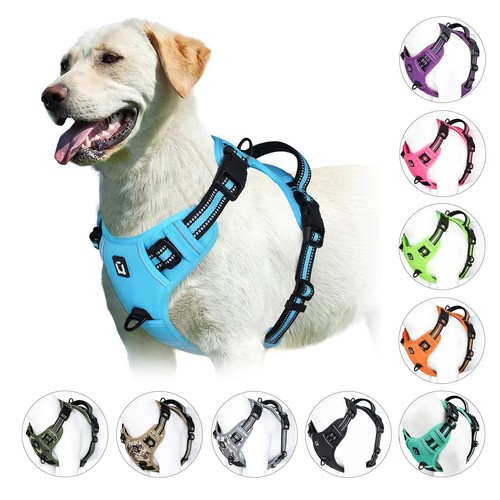 Rabbitgoo pull pet dog - rabbitgoo, no-pull