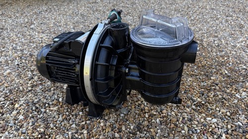 Sta rite swimming pool pump - sta,