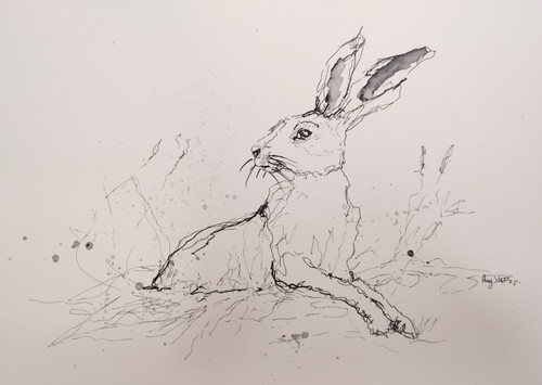 Original hare size - size, scribble