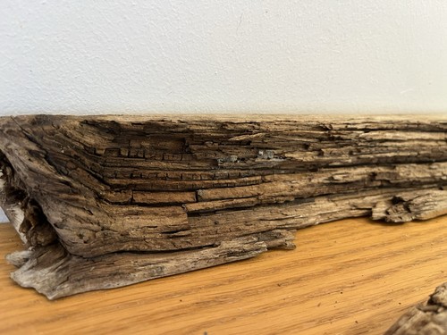Flat ish driftwood - flat,