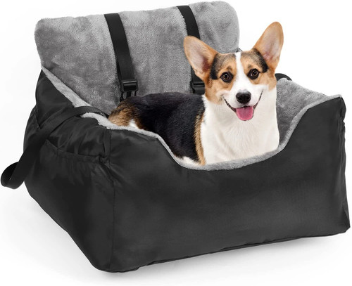 Luxury medium dog car - luxury,