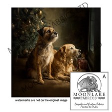 Border Terrier plus Vintage