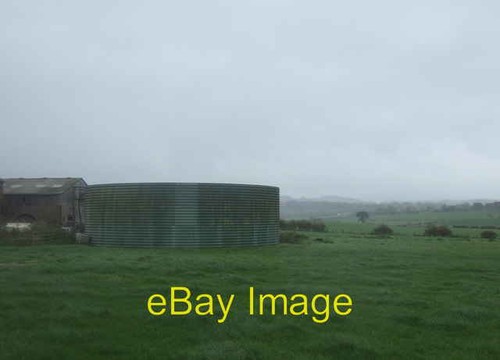 Photo 6x4 grazing - 6x4, and