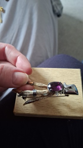 Scottish grouse foot - foot, brooch