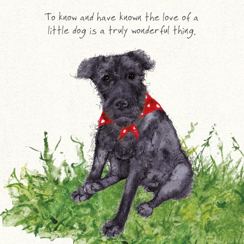 Patterdale terrier greeting - patterdale,