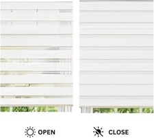 Zebra Vision Window Roller