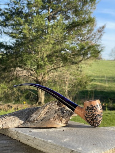 Bluegrassbriar acorn - ,