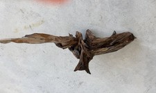 Natural driftwood for - driftwood,
