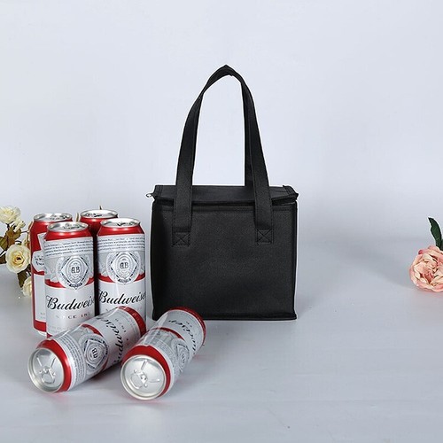 Insulated picnic lunch - insulated, cooler