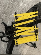 sport training ladder