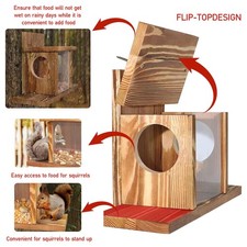 Wildlife Garden Squirrel