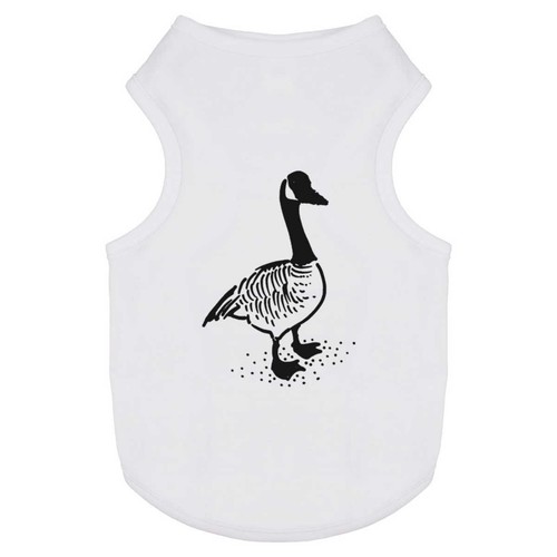 Goose pet dog cat - pet, /