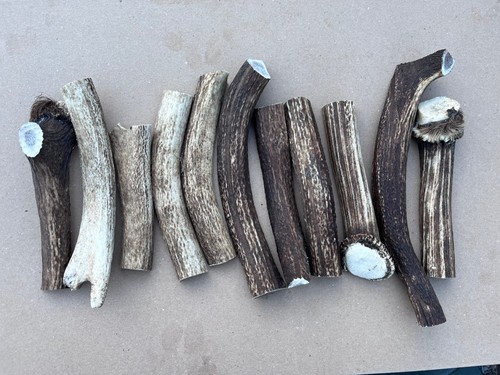 Split antler dog - chews, 1kg